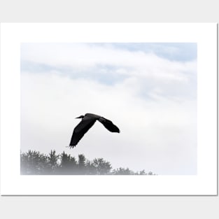 Great Blue Heron Flying Past the Clouds Above Trojan Pond 5 Posters and Art